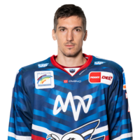 Borna Rendulic