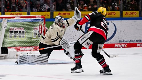 Löwen Frankfurt gg. Grizzlys Wolfsburg