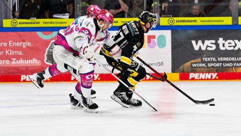 Krefeld Pinguine gg. Eisbären Berlin