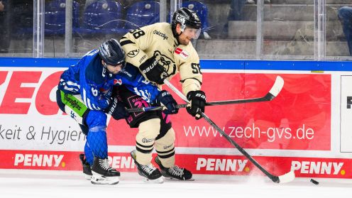 Straubing Tigers gg. Grizzlys Wolfsburg